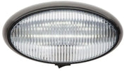 RVPLL13CBP Porch Light