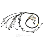 Rywire RY-K2-RWD Rywire 02-04 K-Series RWD Mil-Spec Eng Harness w/02-04 Wiring/K-Pro ECU/S2K Trans/K-Series TB/Intake