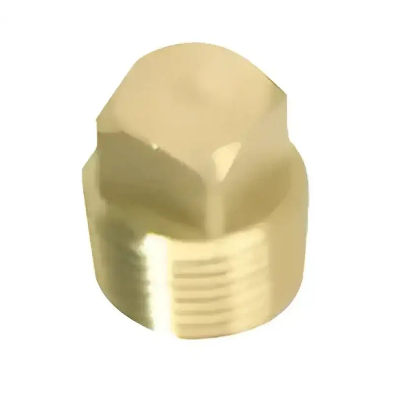 S-5052C Whitecap 1/2’ Brass Plug Only - Boat Drain