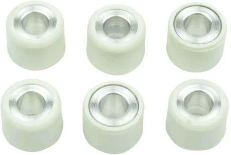 S41000030P003 Clutch Roller Kit 6 Roller 15x12 5 Gr