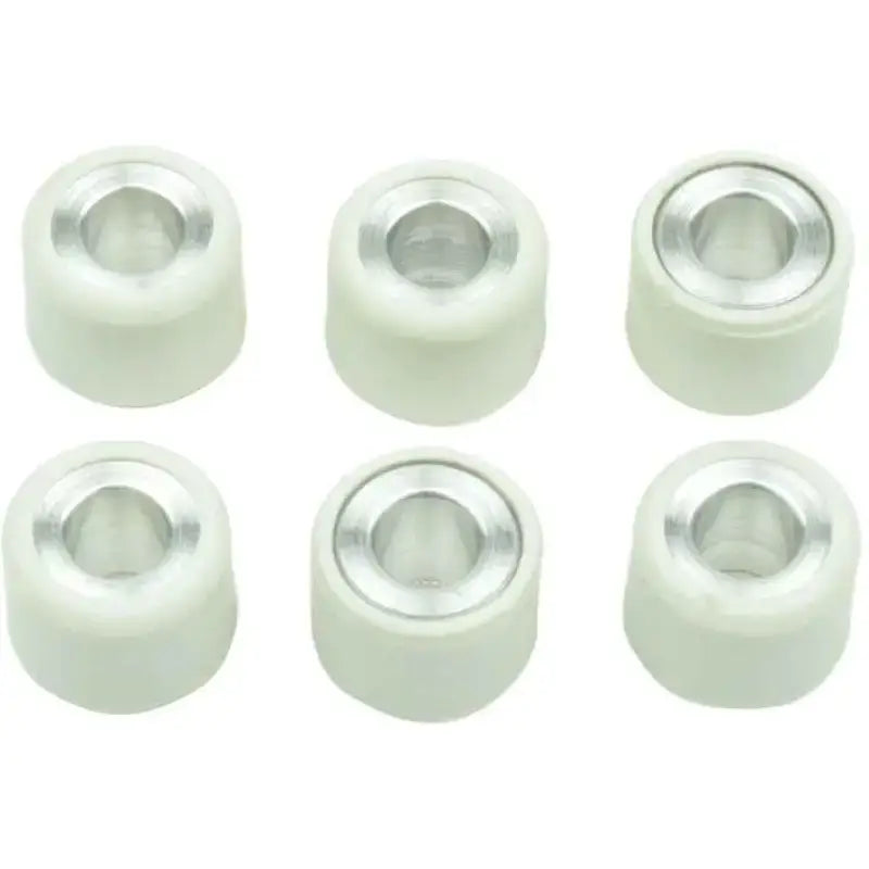 S41000030P016 Clutch Roller Kit 6 Roller 16x13 6 Gr