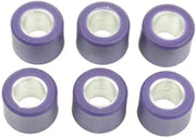 S41000030P020 Clutch Roller Kit 6 Roller 16x13 7.5 Gr