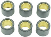 S41000030P036 Clutch Roller Kit 6 Roller 19x15 5.8 Gr
