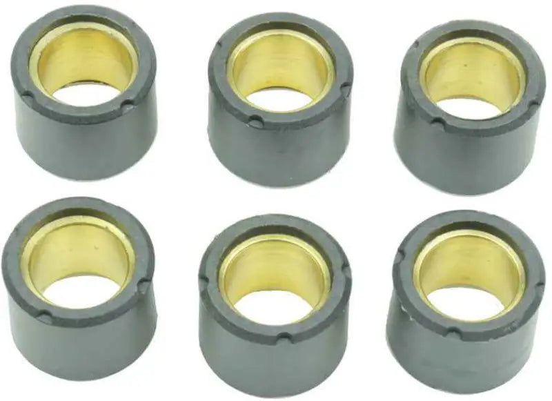 S41000030P036 Clutch Roller Kit 6 Roller 19x15 5.8 Gr