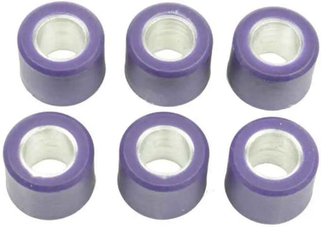 S41000030P092 Clutch Roller Kit 6 Roller 16x13 4 Gr