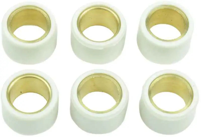 S41000030P095 Clutch Roller Kit 6 Roller 17x12.5 5 Gr