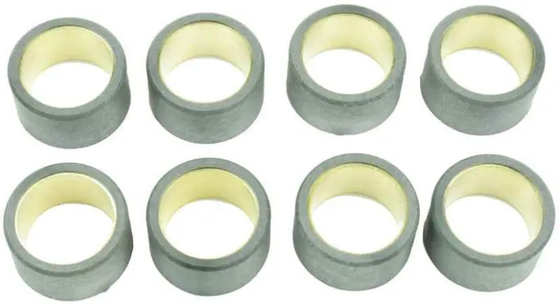 S41000030P107 Clutch Roller Kit 8 Roller 25x14.9 12 Gr