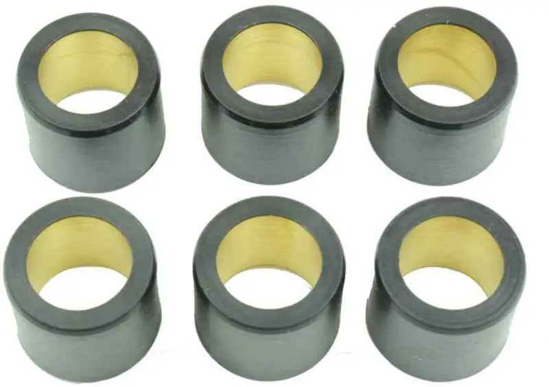 S41000030P117 Clutch Roller Kit 6 Roller 25x22.2 30 Gr