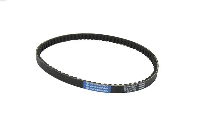 S410000350008 Drive Belt 16.6x8x795