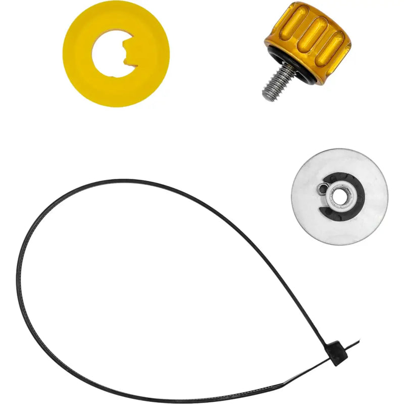Santoro Fabworx Seat Screws SF20013 - Gold Screw