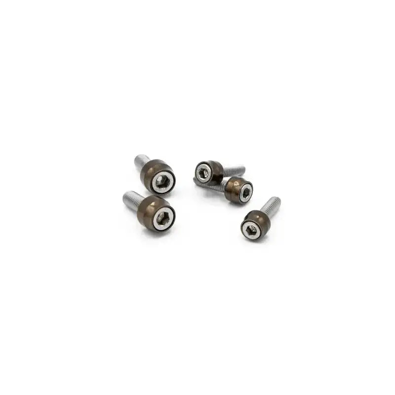 SF10016 Santoro Fabworx Chacho Bolt Kit Bronze Twin Cam Eng Trans Prim - RV and Auto Parts