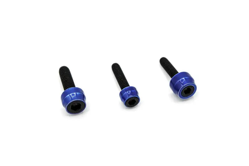 SF10024B Santoro Fabworx Chacho'S Bolt Kit Blue M8 Eng Trans Prim Blk - RV and Auto Parts
