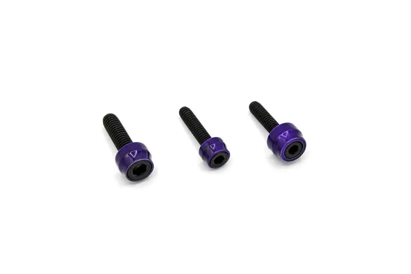 SF10025B Santoro Fabworx Chacho'S Bolt Kit Purple M8 Eng Trans Prim Blk - RV and Auto Parts