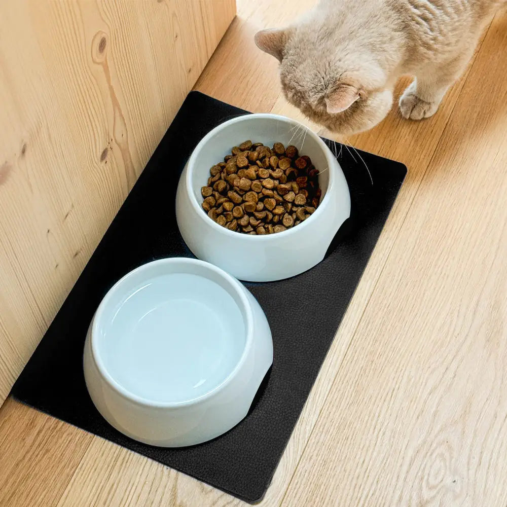 Silwy Magnet FN-P-3 Pet Dish