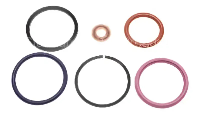SK55 Fuel Injector Seal Kit