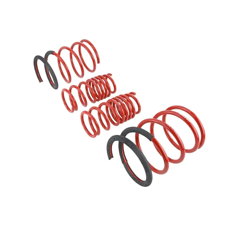 Skunk2 Racing 519-05-1670 Skunk2 02-04 Acura RSX Lowering Springs (2.25in - 2.00in.) (Set of 4)