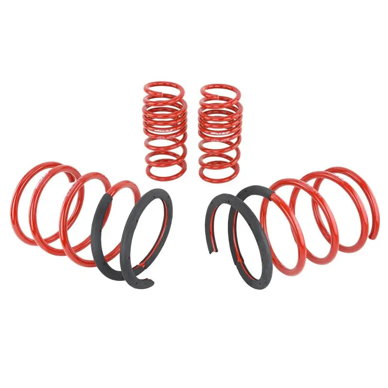 Skunk2 Racing 519-05-1670 Skunk2 02-04 Acura RSX Lowering Springs (2.25in - 2.00in.) (Set of 4)