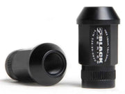 Skunk2 Racing 520-99-0855