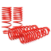 Skunk2 Racing 519-05-1550 Skunk2 96-00 Honda Civic Lowering Springs (2.50in - 2.25in.) (Set of 4)