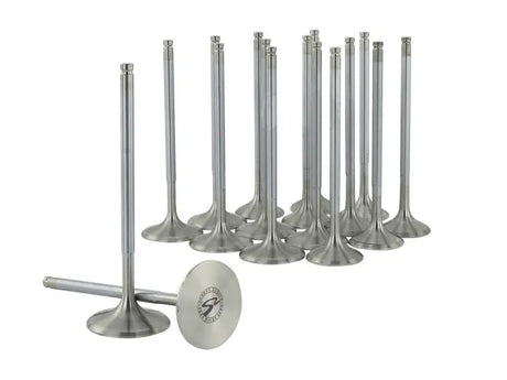 Skunk2 Alpha Series Honda/Acura Stock Size H Valve Set (Standard Compression) - Truck & Automotive