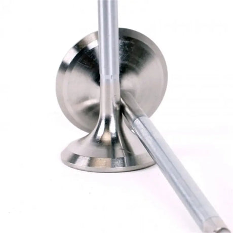 Skunk2 Alpha Series Honda/Acura Stock Size H Valve Set (Standard Compression) - Truck & Automotive