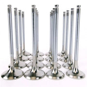 Shiny metal Skunk2 Alpha Series Honda Acura VTEC Engine Valves for K Series