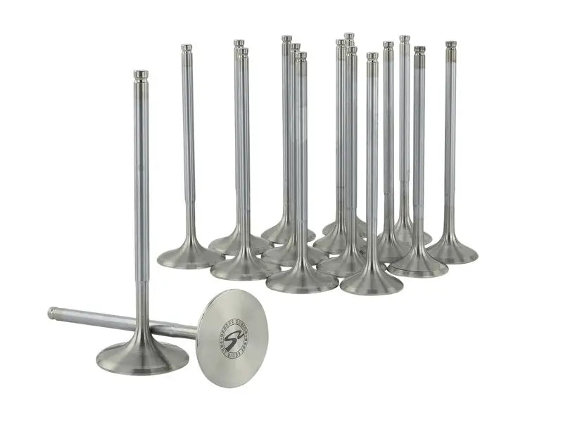 Shiny metal engine valves from Skunk2 Alpha Series for Honda Acura K Series VTEC