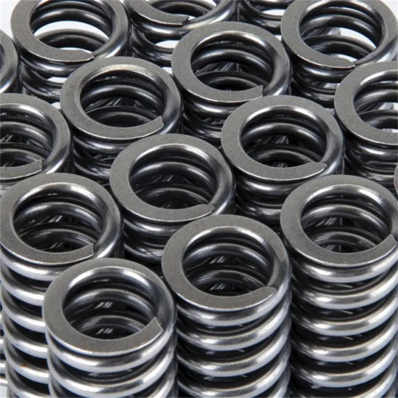 Skunk2 Racing 311-05-1345 Skunk2 Alpha Series Honda D Series VTEC Valve Spring Set
