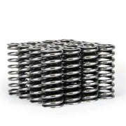 Skunk2 Racing 311-05-1345 Skunk2 Alpha Series Honda D Series VTEC Valve Spring Set
