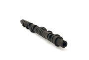 Skunk2 Racing 305-05-0055