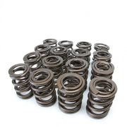 Skunk2 Racing 311-05-1360 Skunk2 Tuner Series Honda/Acura (H22A/F20B) DOHC VTEC Alpha Valve Spring Set (Dual Springs)