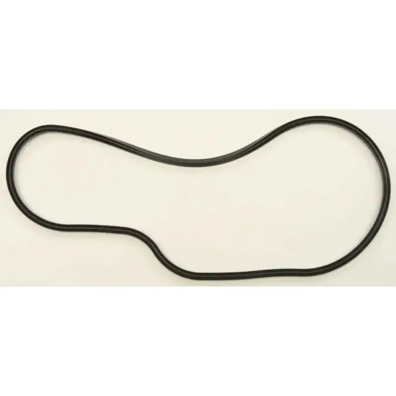 SM-03348 Chaincase Gasket Pol