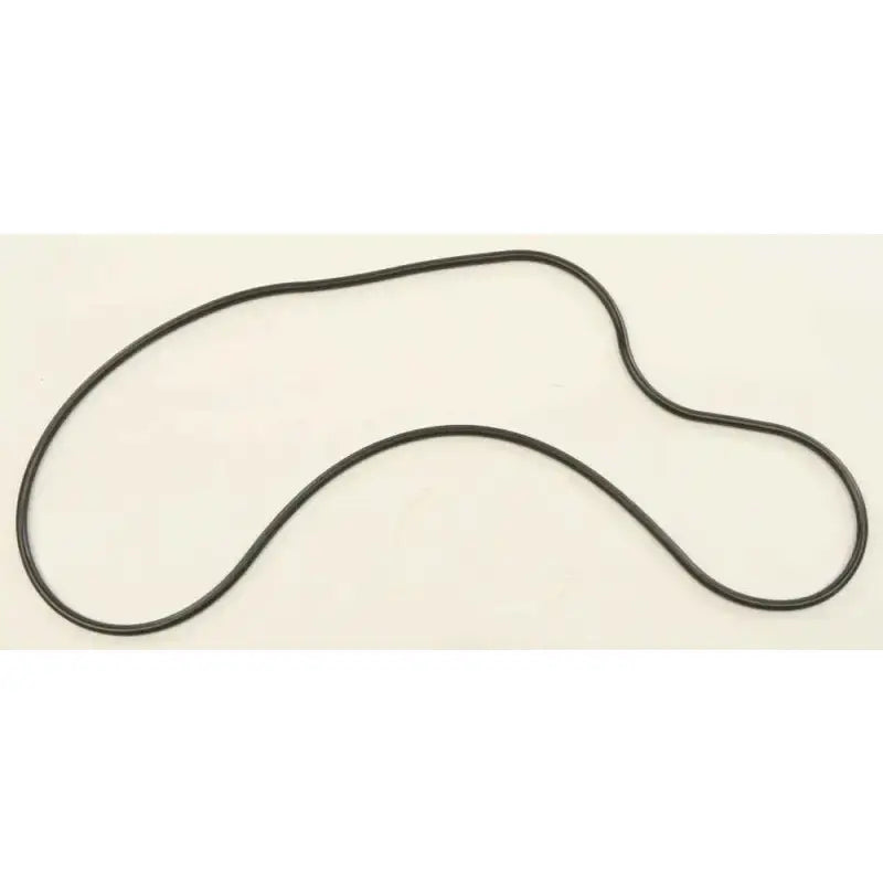 SM-03349 Chaincase Gasket Pol