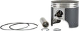 SM-09081-2 Piston T Moly S D 