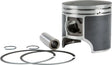 SM-09245 Piston T Moly Pol 