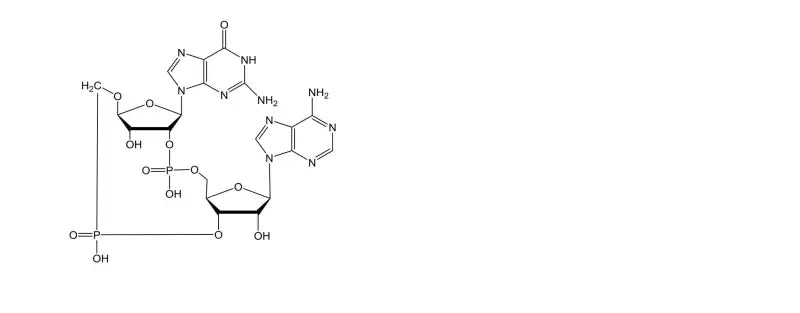 SM-09618 Sp1 Cylinder Pol - Engine