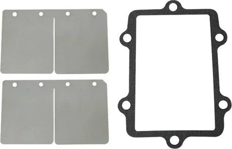 Reed Valve Rebuild Kit A/C