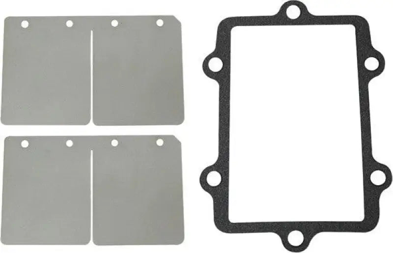 Reed Valve Rebuild Kit A/C