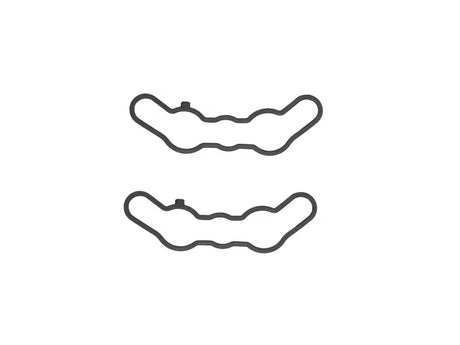 Exhaust Valve Gasket Set Pol