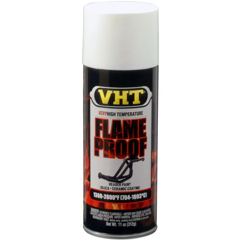 SP101 Paint