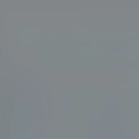 SP87-7 GRAY FIA Cvr Gry Frd S/D 99-07