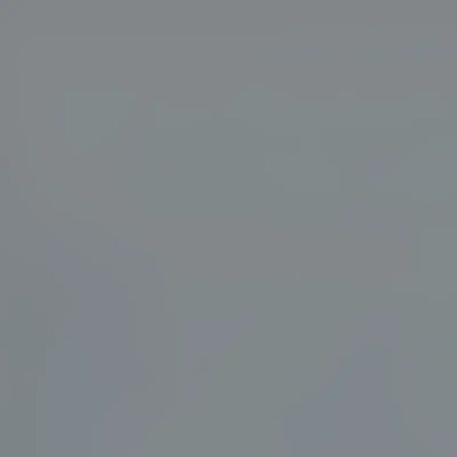 SP87-7 GRAY FIA Cvr Gry Frd S/D 99-07
