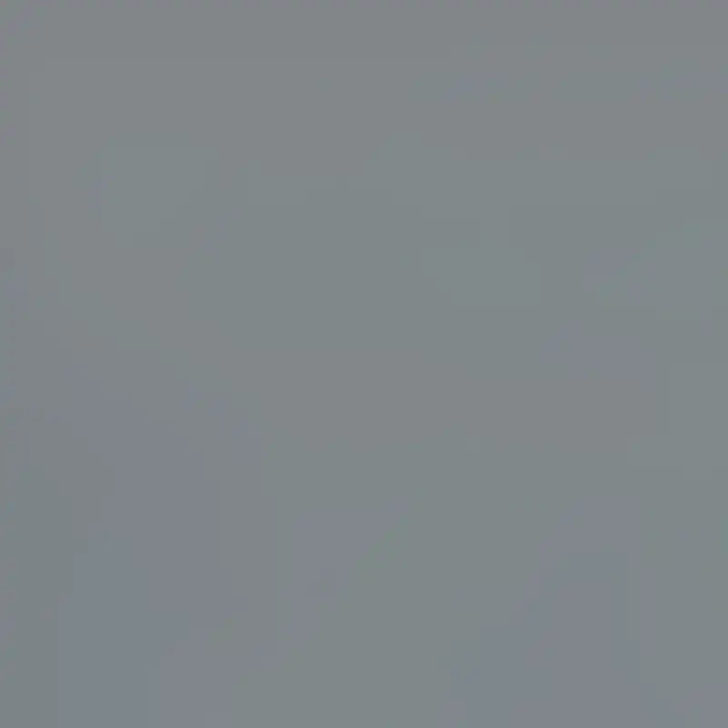 SP88-16 GRAY FIA Cvr Gry Silver. 03-07