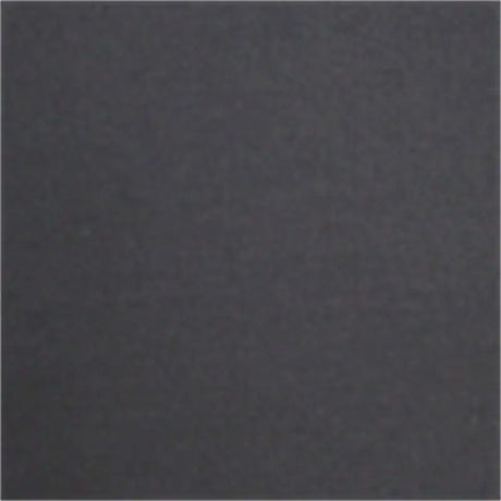 SP88-38 BLACK FIA Sl Front 19 Silv/Sier - Seat Cover