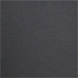 SP88-38 BLACK FIA Sl Front 19 Silv/Sier - Seat Cover