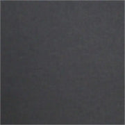 SP88-38 BLACK FIA Sl Front 19 Silv/Sier - Seat Cover