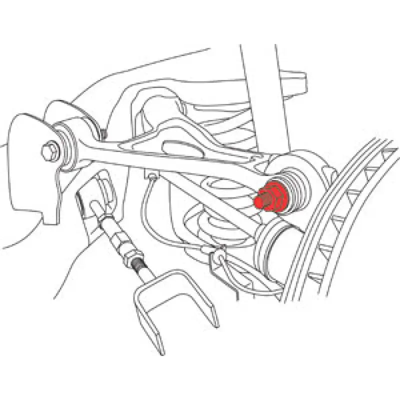 SPC Performance 84130 SPC Performance Ford 10+ Taurus / 01+ Explorer Rear Camber Kit - 84130