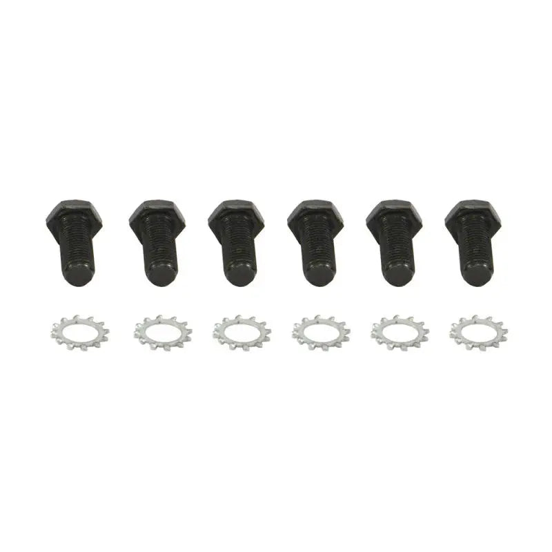 Spectre Ford/Chevy Flywheel Bolts 