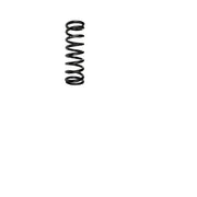 RACE TECH Suspension: SRSP 552446 Shock Spring 4.6kg