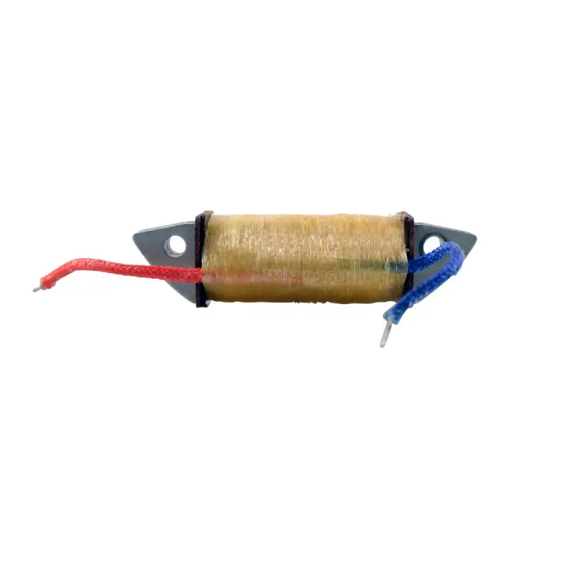Stator Ignition Source Coil - RM STATOR